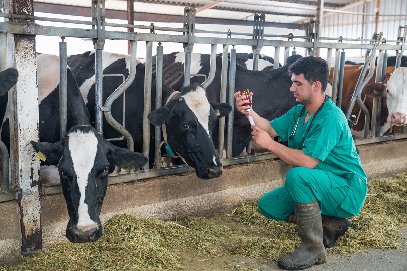 Veterinary drug residues in food compliance rates highest for a decade